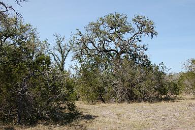 Featured property, view 3