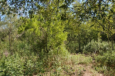 Featured property, view 3