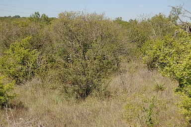 Featured property, view 4
