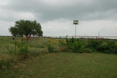 Featured property, view 4