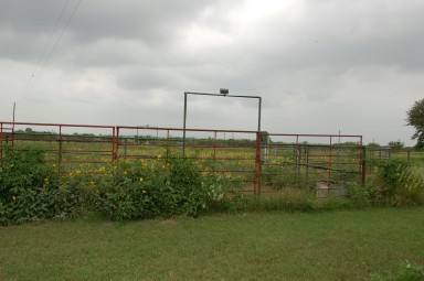Featured property, view 5
