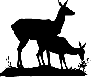 Home Range Logo